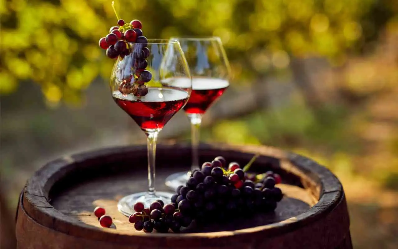 Vigneti italiani verso la rinascita la svolta che rilancia il settore del vino Immagine selezionata